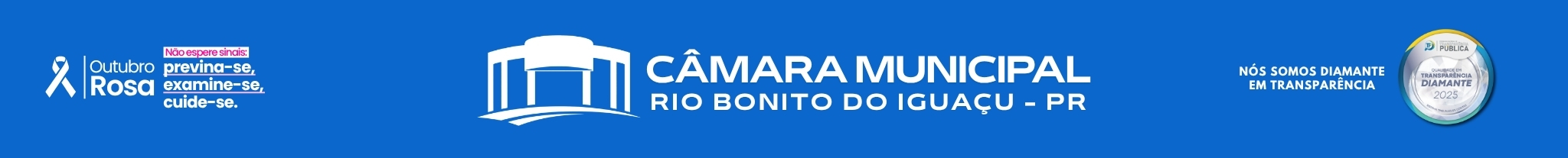 Câmara Municipal de Rio Bonito do Iguaçu